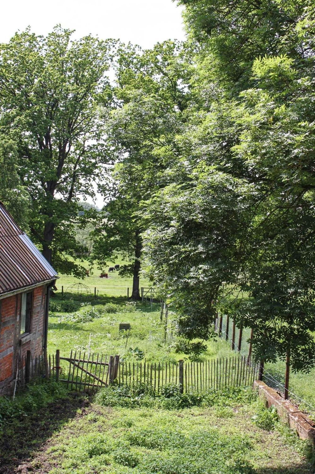 Ferienwohnung Auf Der Ruebenburg Barnsen Buitenkant foto